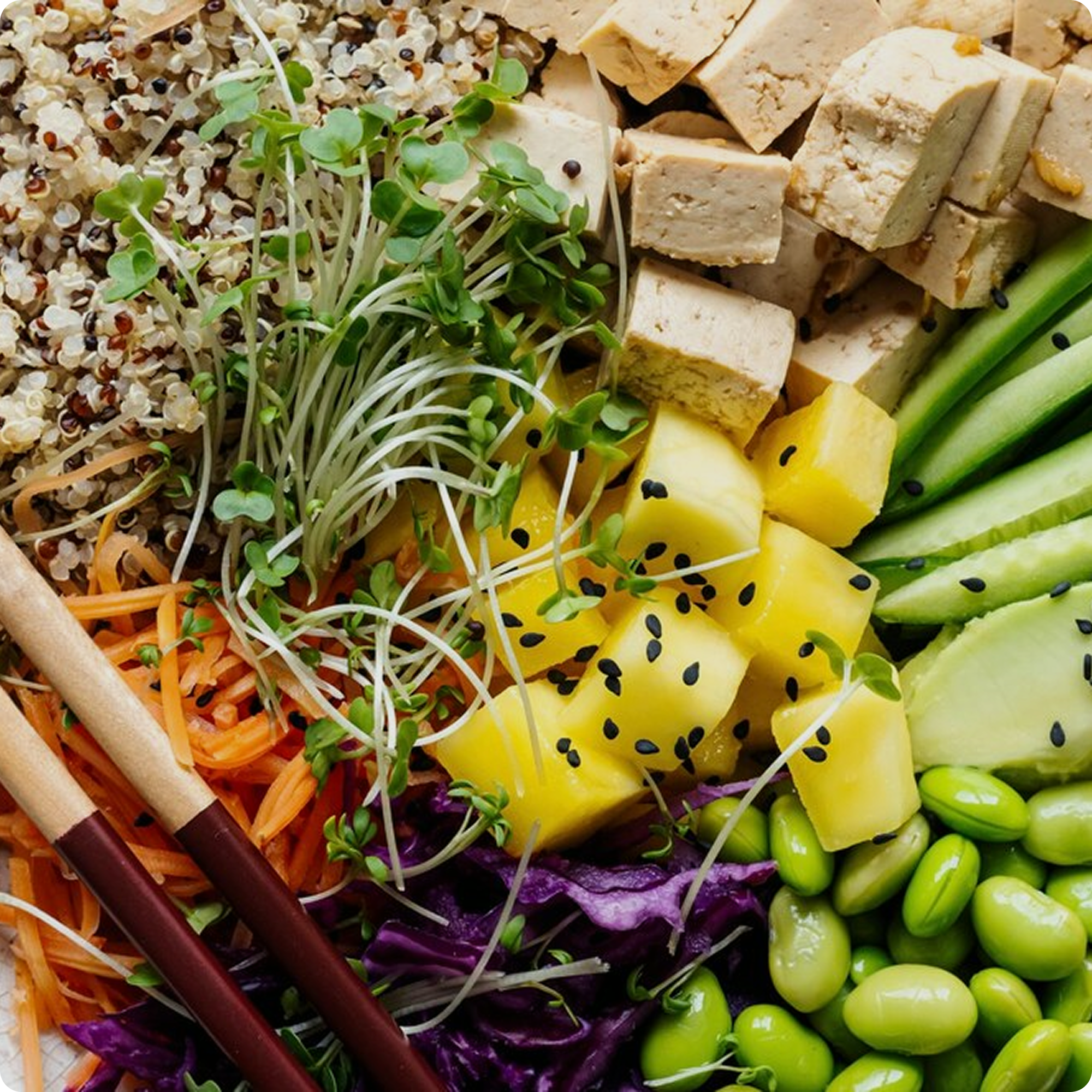 Wichtige Nahrungsergänzungen bei veganer Ernährung