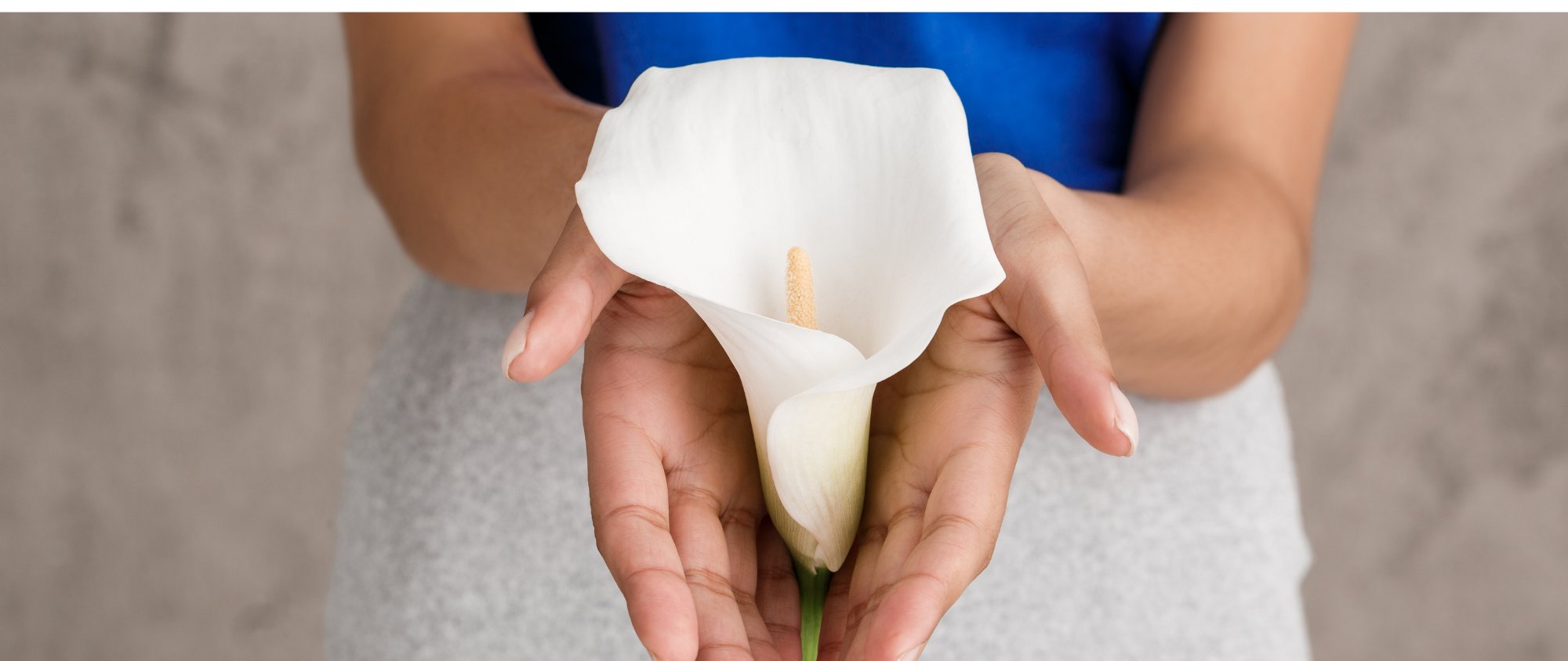 Zwei Hände halten behutsam eine geöffnete weiße Blüte.