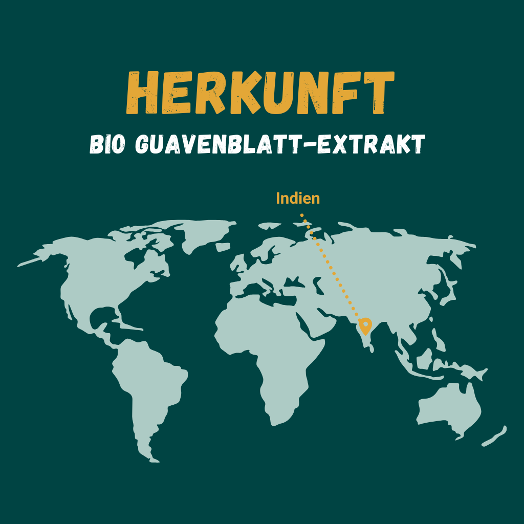 Grafik zur Herkunft von Bio Guavenblatt Extrakt: Indien