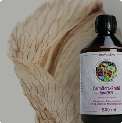 Darmflora Probi forte von SInoplasan mit einem Blatt im Hintergrund
