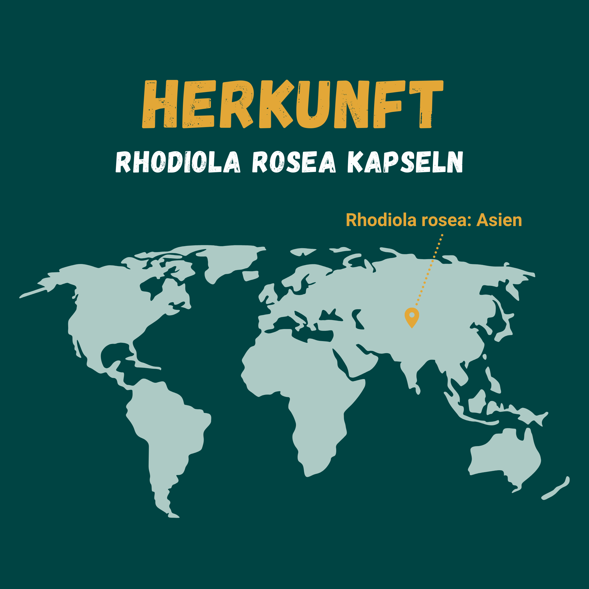 Grafik zur Herkunft von Rhodiola rosea: Asien.