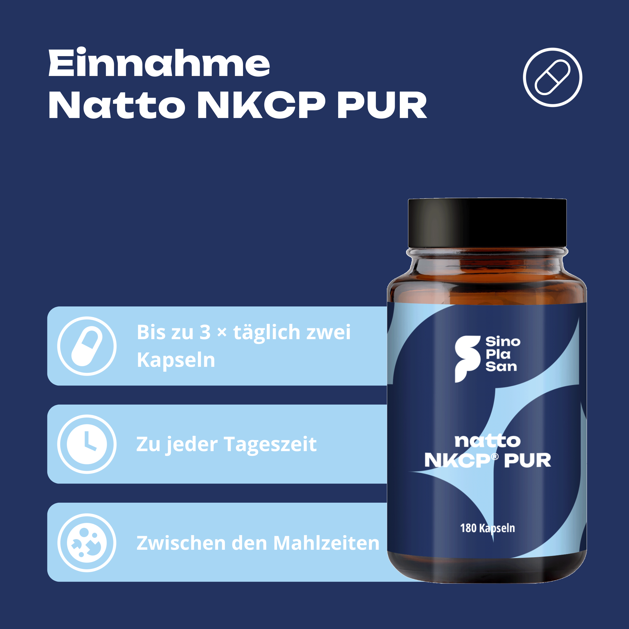 Natto NKCP PUR 125 mg Natto Bacillus