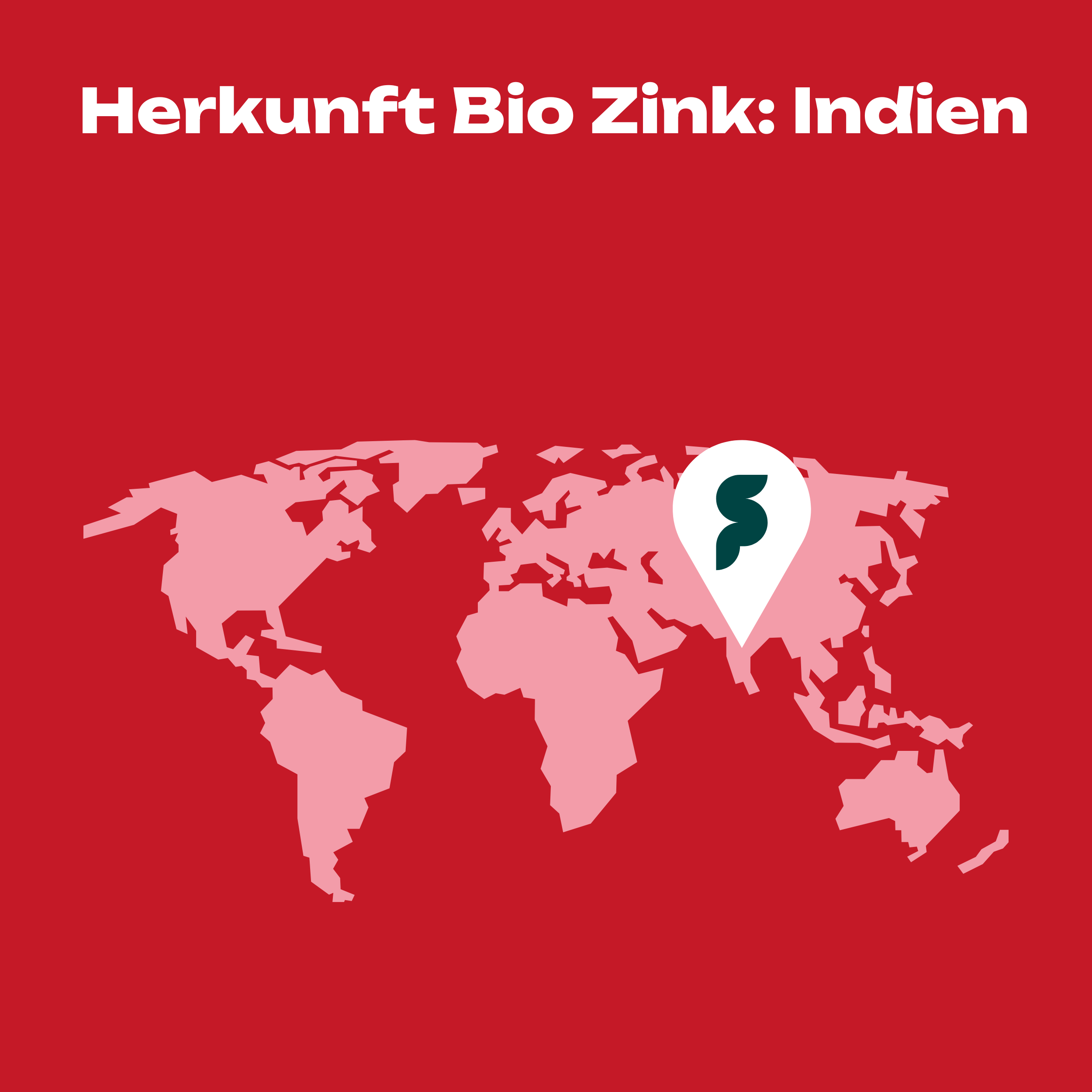 BIO Zink aus Guavenblättern + Vitamin C