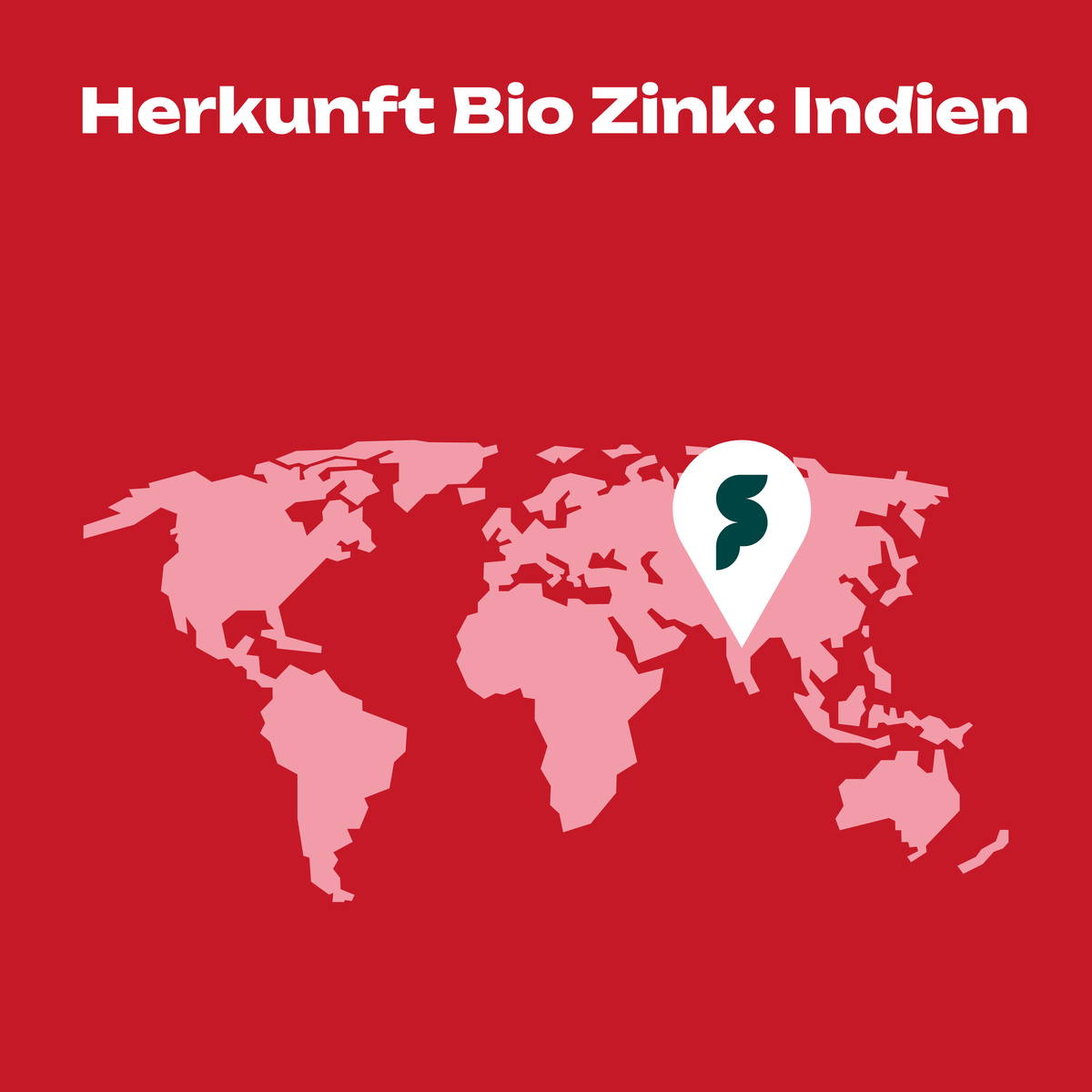 BIO Zink aus Guavenblättern + Vitamin C
