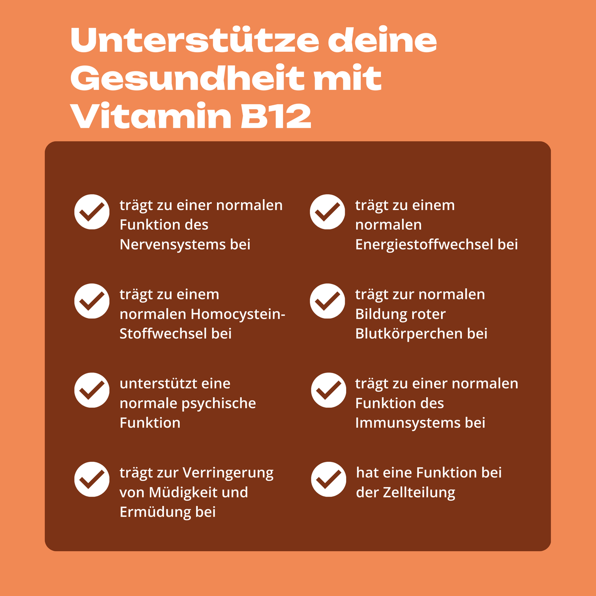 Kleine Entdecker Set