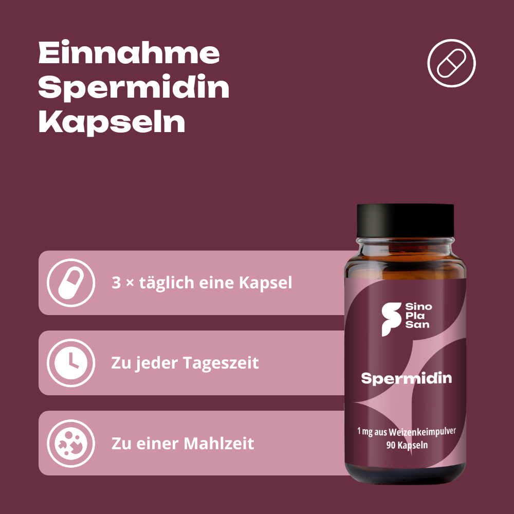Spermidine 1 mg 90 capsules