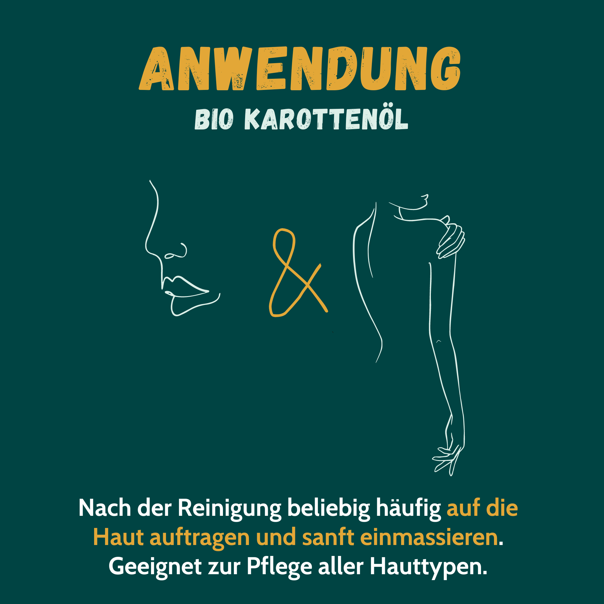Grafik zur Einnahme von Bio Karottenöl von Sinoplasan