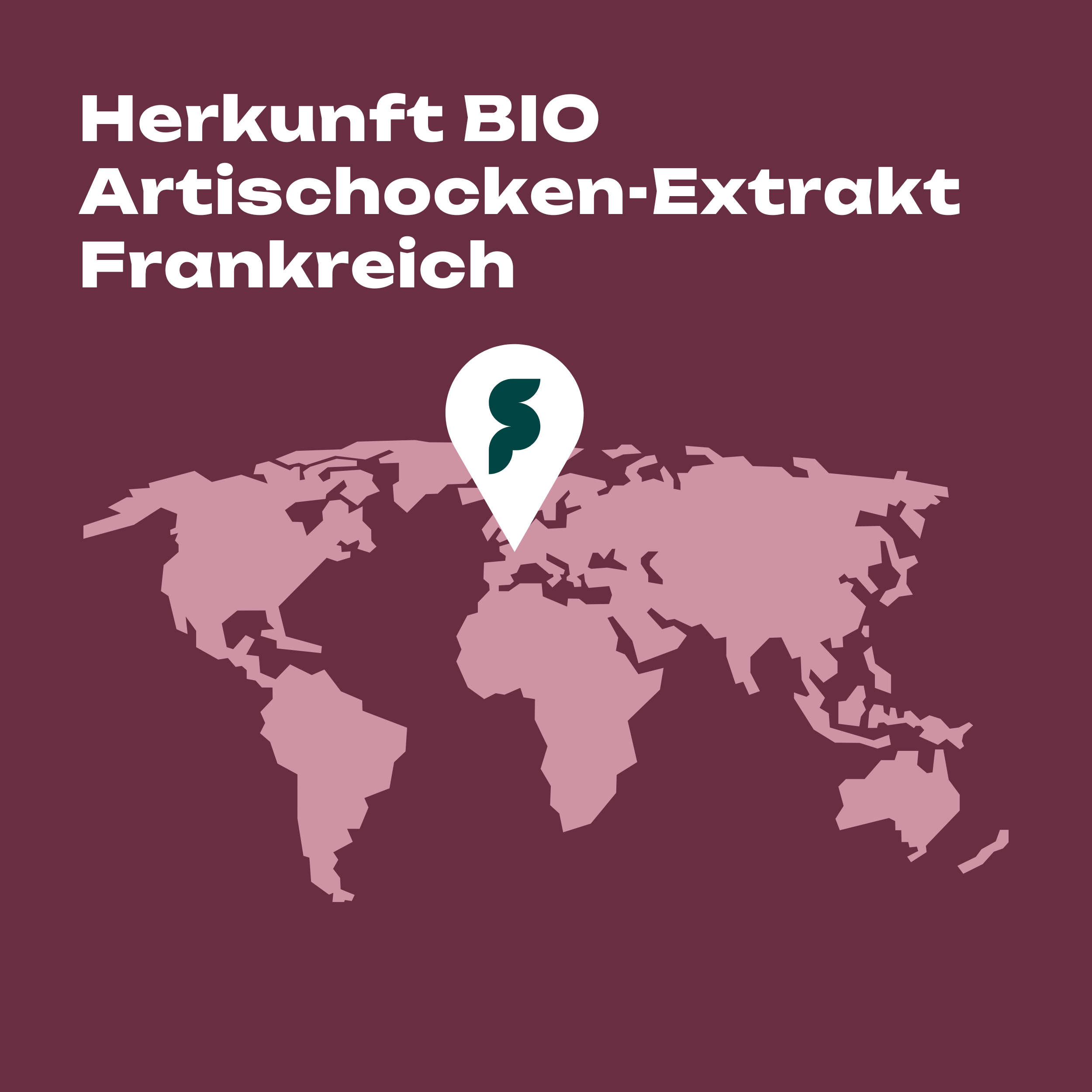BIO-Artischocken-Extrakt
