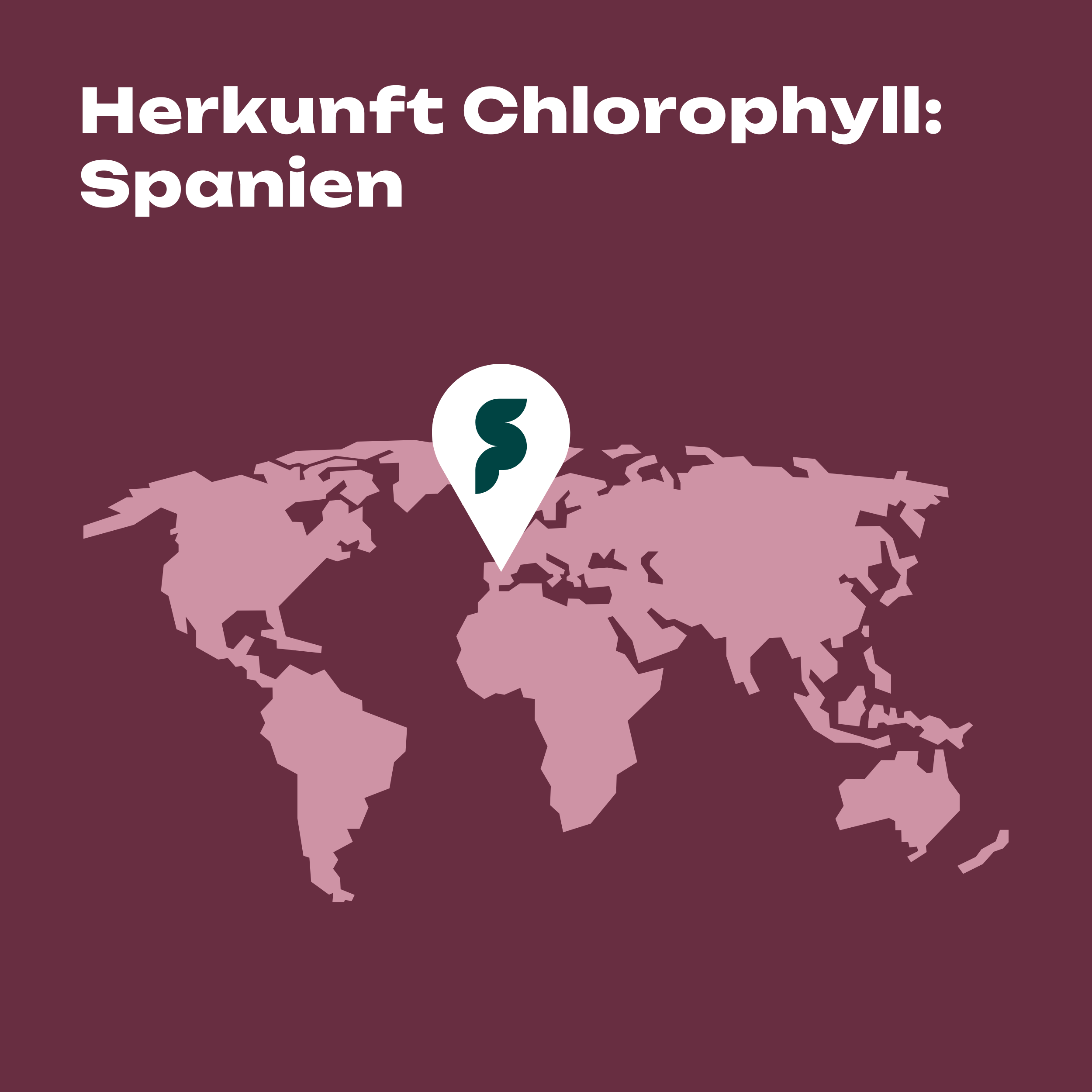 Chlorophyll Tropfen 200 mg