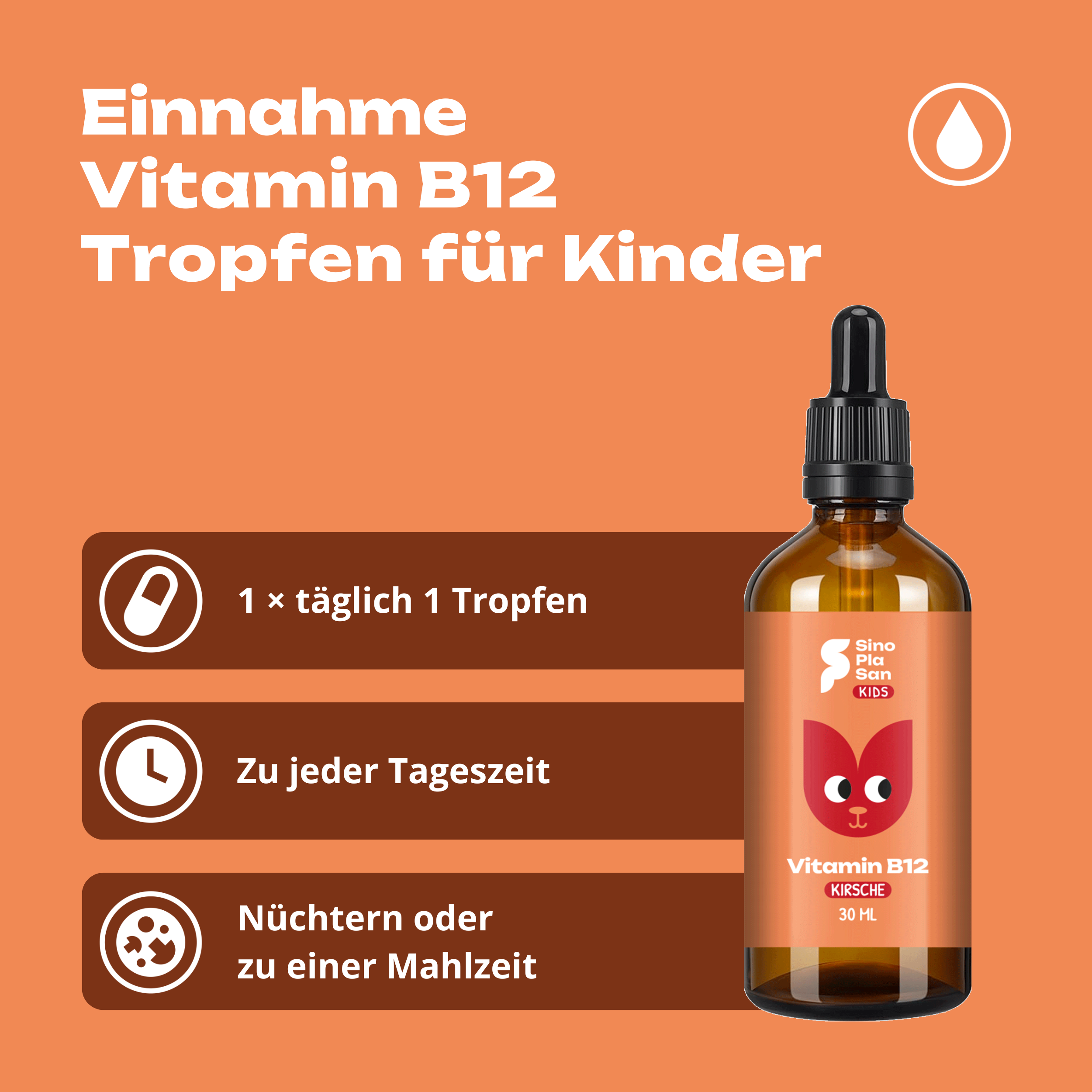 Vitamin B12 Drops KIDS (Cherry)