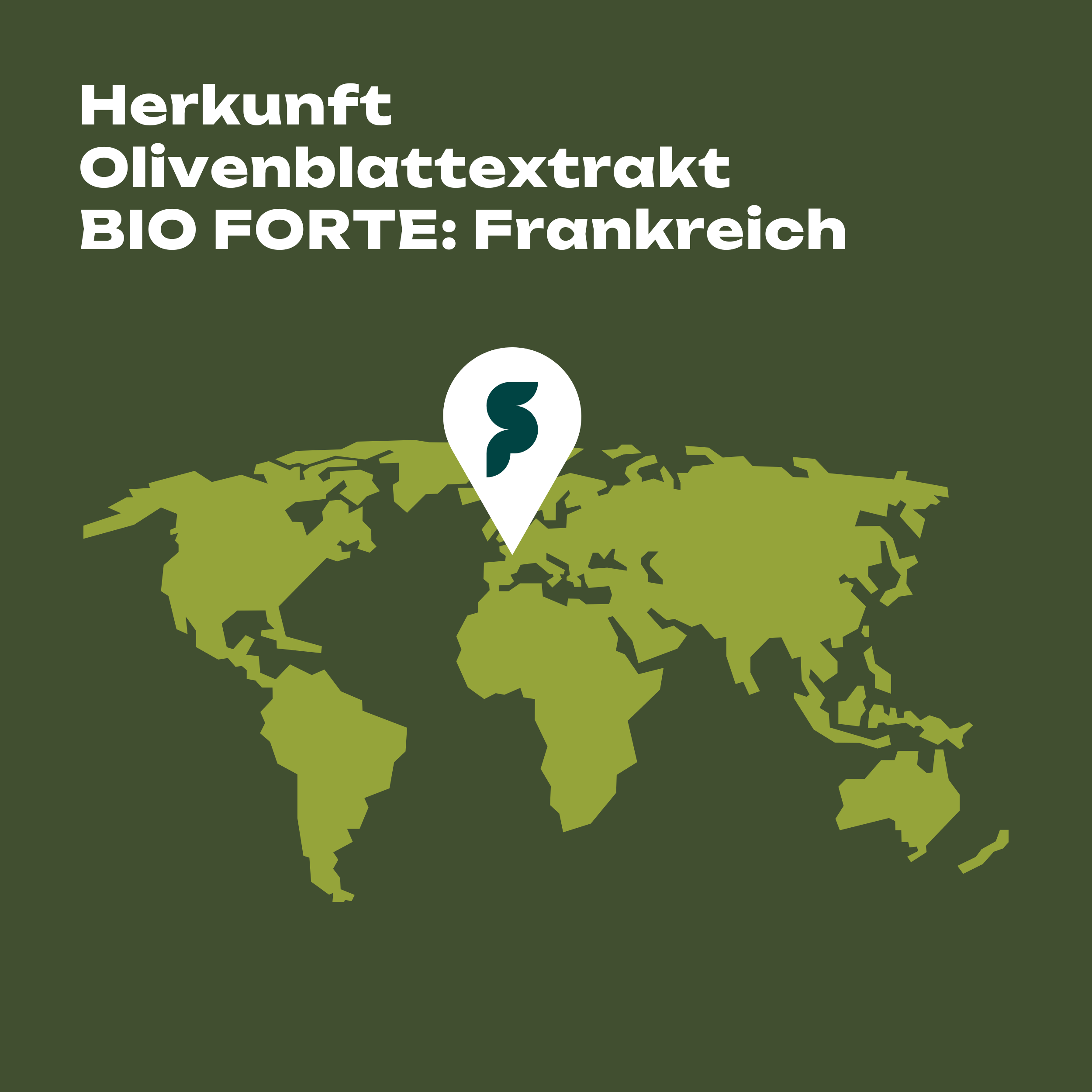 Olivenblattextrakt BIO FORTE