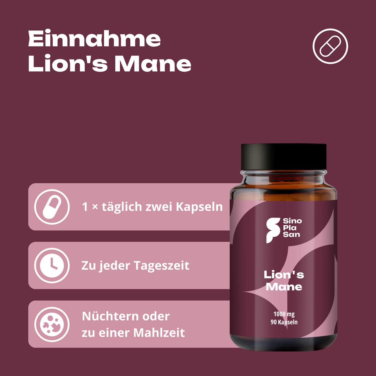 Lion's Mane 90 Kapseln