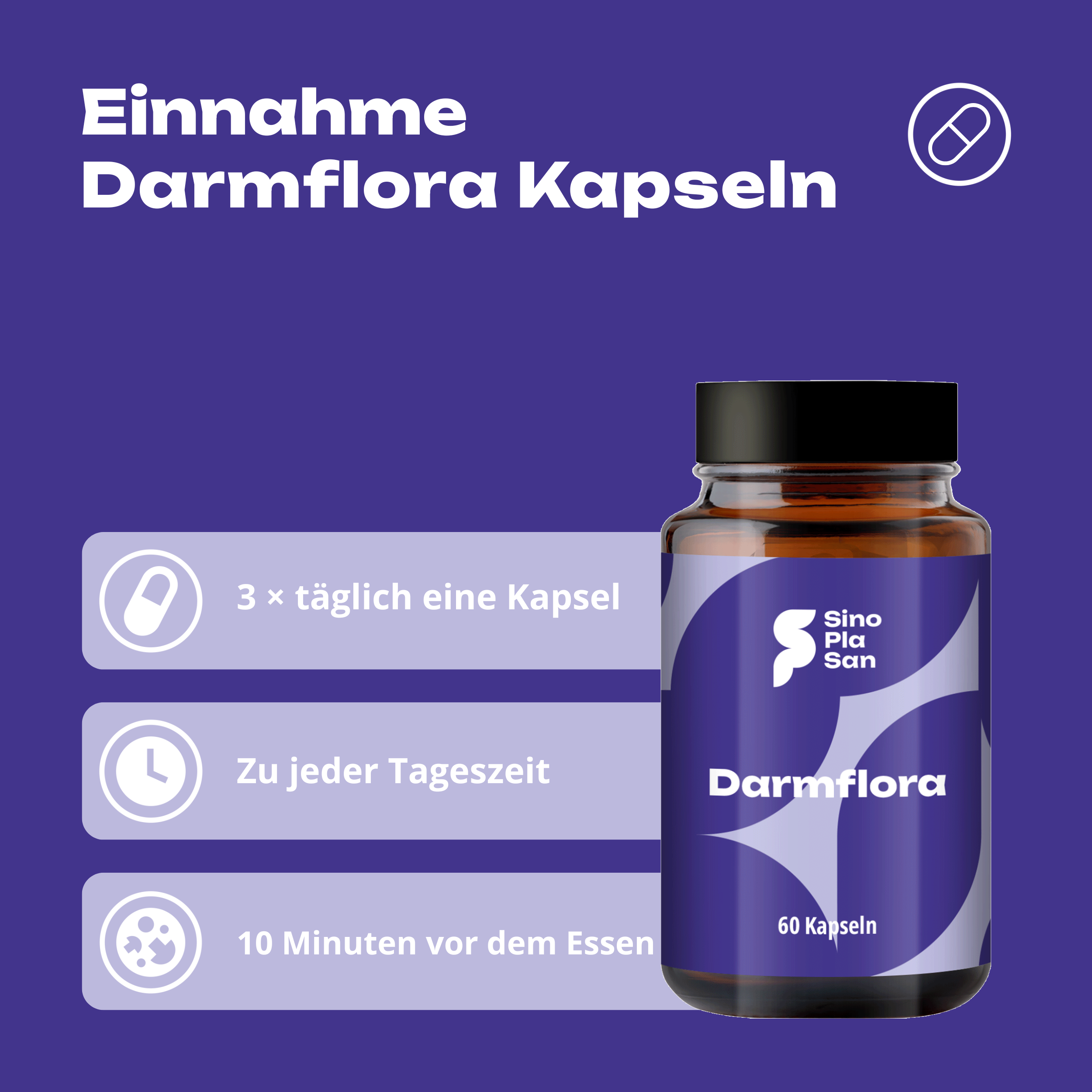 Darmflora Kapseln