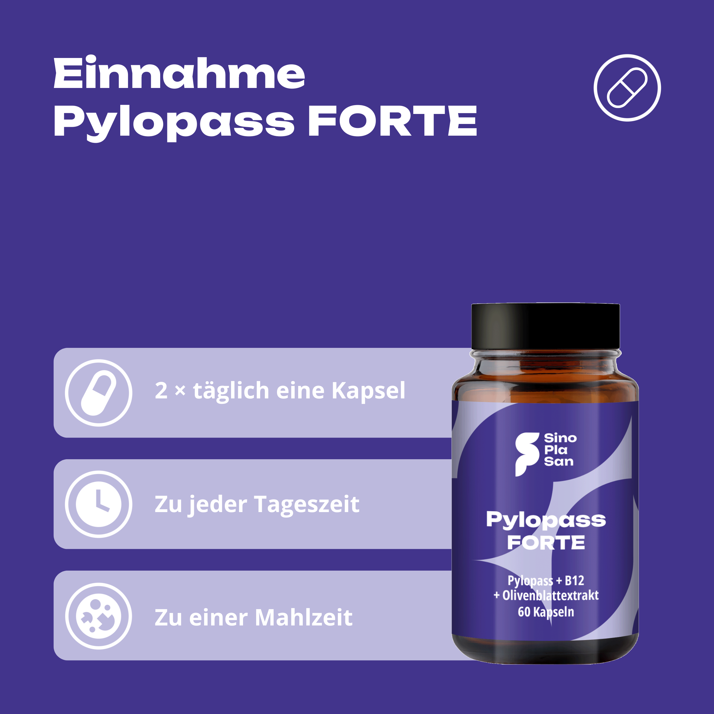 Pylopass FORTE mit B12 & OBE