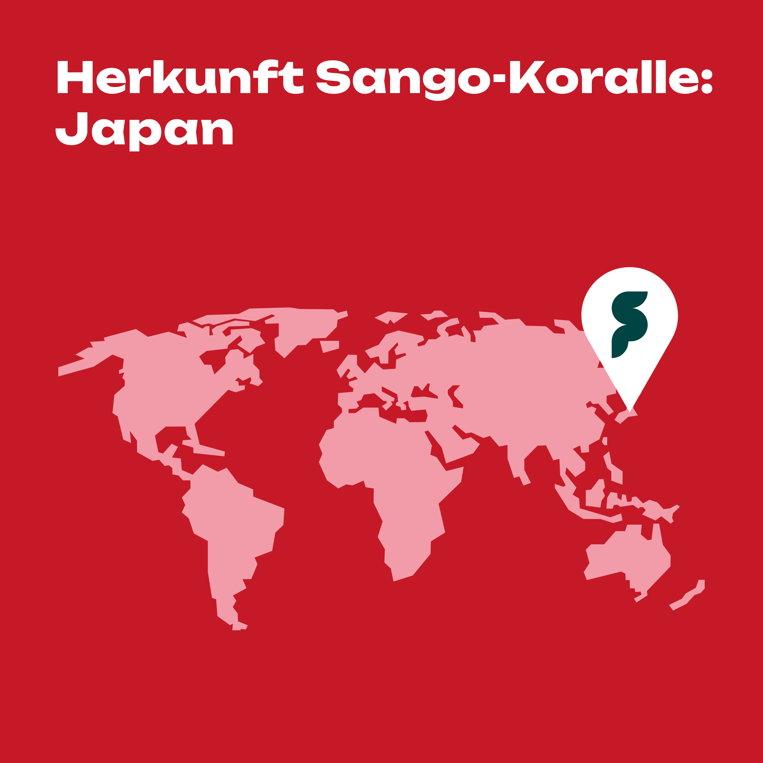 Sango-Koralle Pulver 100%