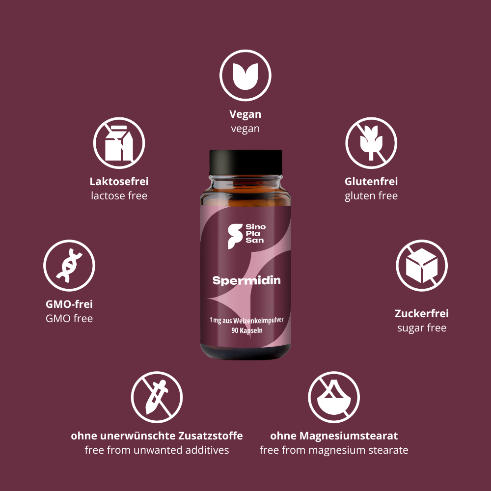 Spermidine 1 mg 90 capsules