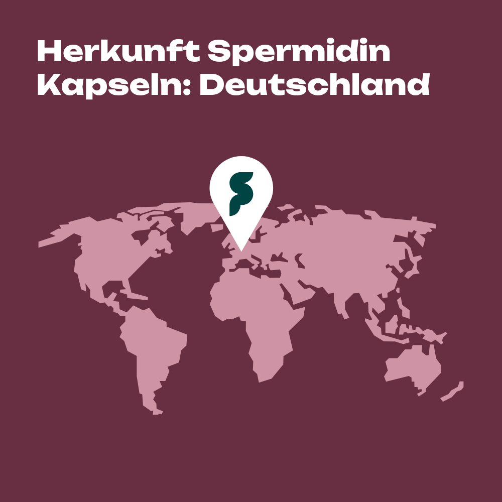 Spermidine 1 mg 90 capsules