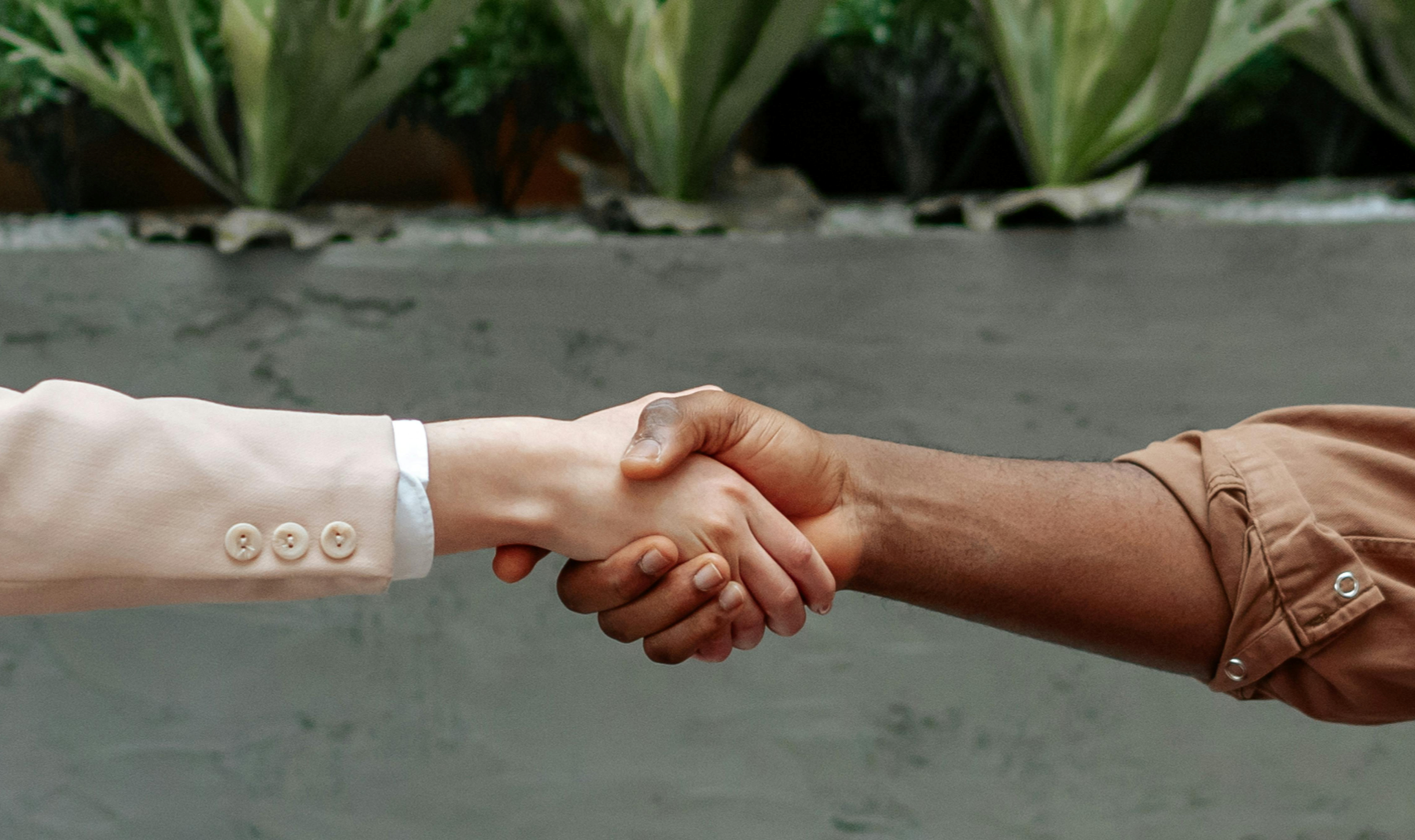 Zwei Personen, die sich die Hand geben